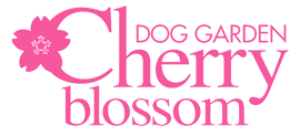 DOG GARDEN Cherry blossom ドッグガーデンチェリーブロッサム